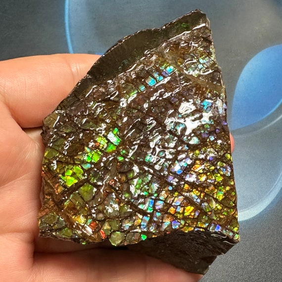 ⚪アンモナイト希少標本 まるでアート。魅せるアンモナイト。 当店で最も人気の化石