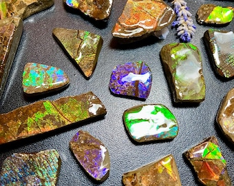 カナダ産アンモライト アンモナイト 両面標本 美品 78X50X42 mm 201