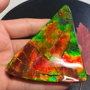 May include: A triangular piece of iridescent ammolite with a red, green, and gold color pattern.