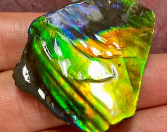 カナダ産アンモライト標本：宝石用虹色化石 - Etsy 日本