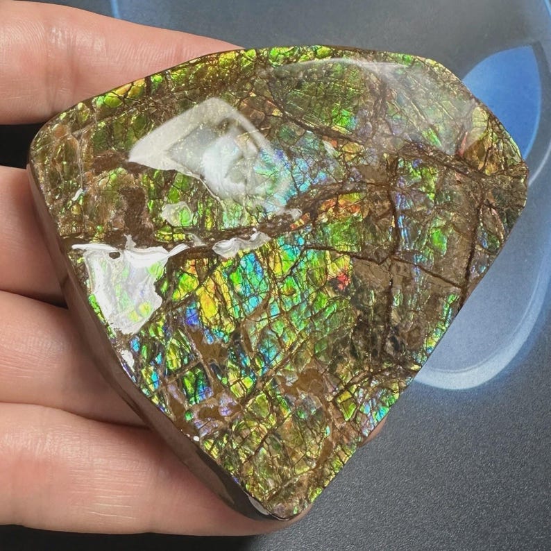 May include: A polished, iridescent ammolite gemstone. The surface displays a mosaic of colors including green, blue, yellow, and red, with brown matrix lines. The gemstone is held in a hand, showcasing its natural beauty and unique patterns.