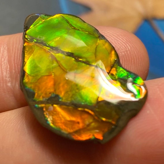 カナダ アンモライト 宝石標本 カナダ産アンモライト宝石標本：希少な虹色の化石、カナダ