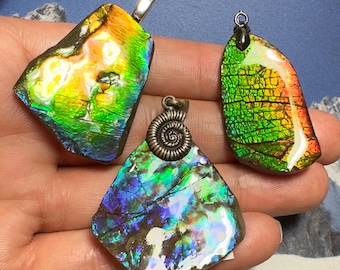 Canadian Ammonite Freeform Gemstone Ammolite Pendant Genuine Fossil Gem Jewelry Multiple Options