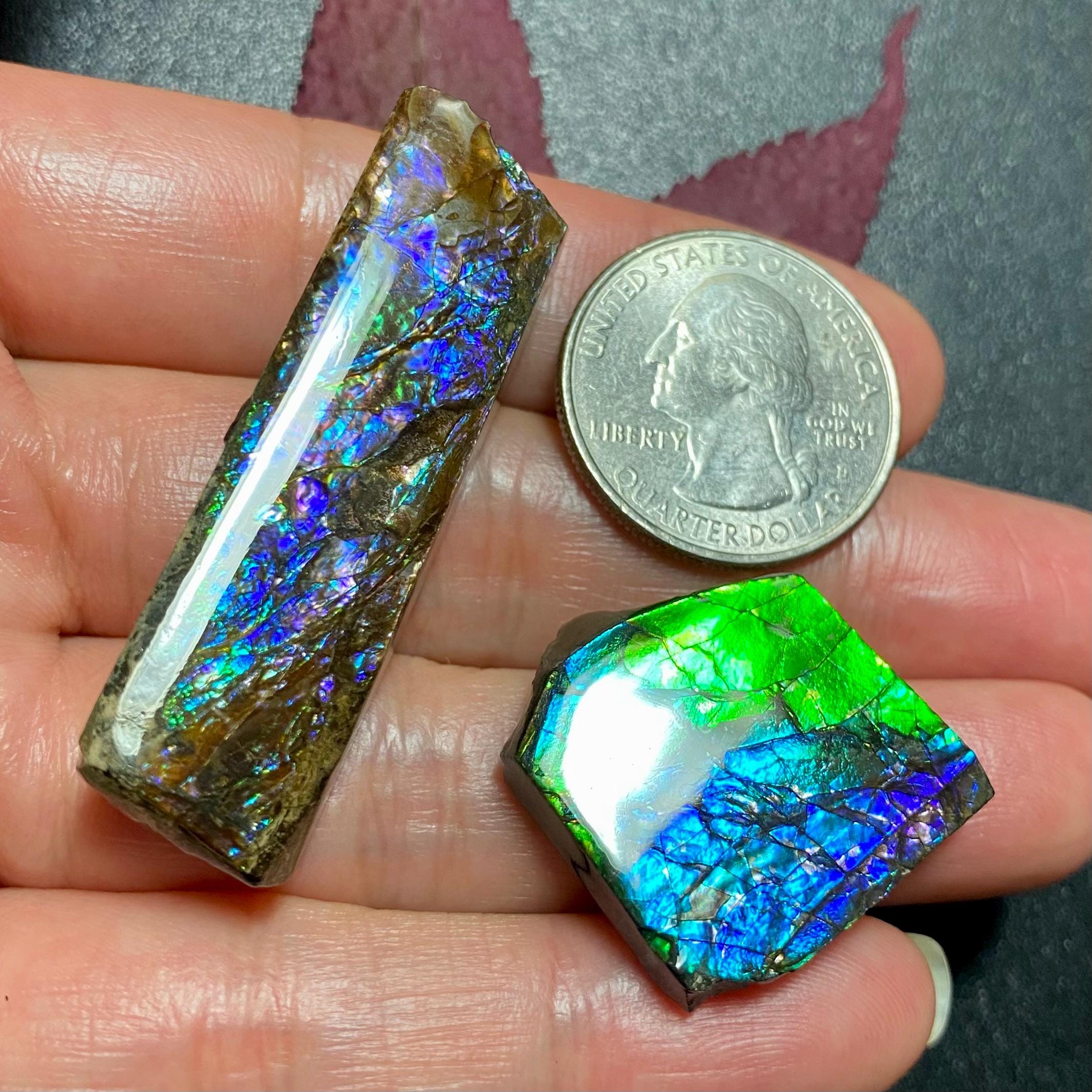 天然カナダ産アンモライト自由形標本 複数オプション - Etsy 日本