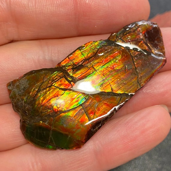 天然カナダ産アンモナイト アンモライト標本 両面 53X27X3 mm #2555