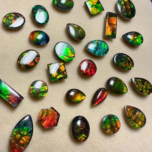 Canadian Ammolite Triplet Gemstone: Iridescent Fossil Loose Beads Multiple Options