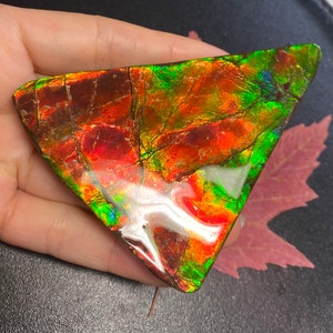 May include: A triangular piece of iridescent ammolite with red, green, and gold hues. The ammolite is polished and has a smooth surface.