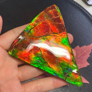 May include: A triangular piece of iridescent ammolite with red, green, and gold hues. The ammolite is polished and has a smooth surface.