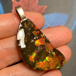CLEARANCE Natural Canadian Ammolite Freeform Pendant 39X22 MM #2555-986