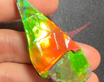 Canadian Ammolite Freeform Own a Piece of Earth's Rainbow | Genuine Canadian Gemstone Blue Multiple Options