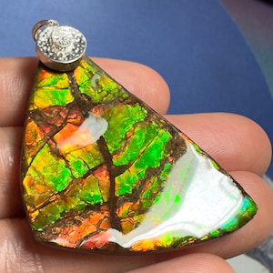 Natural Canadian Ammonite Ammolite pendant Silver Freeform Gemstone 47X33 MM #2871-62
