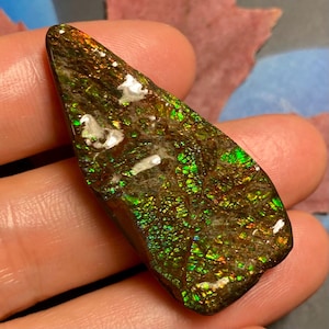CLEARANCE Natural Canadian Ammonite Freeform Gemstone 44X23 MM #2555-987