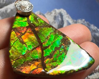 天然カナダ産アンモナイト アンモライトペンダント シルバー フリー