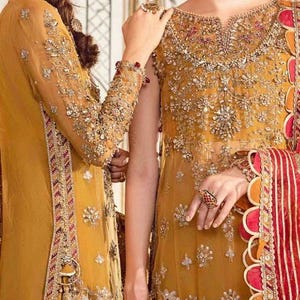 Gesticktes Organzanet Pakistanisches Brautkleid: Kundenspezifisches langes Kurti mit Plazzo