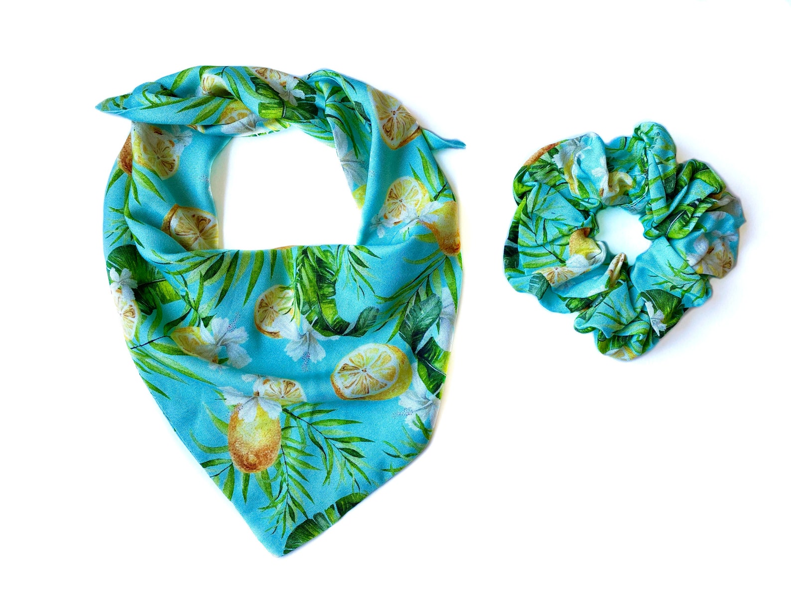 Passende Hund und Besitzer Set Zitrone Textur Hund Bandana Etsy