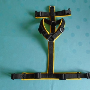 Chest harness Dogs Y-harness