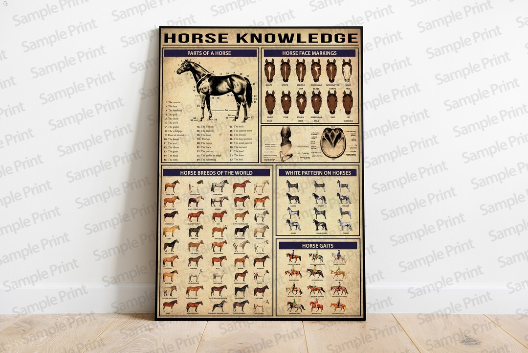 Horse Knowledge Poster, Horse Poster, Cowgirl Poster, Horse Girl Art