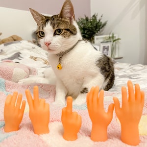 Cat toy glove fingers online