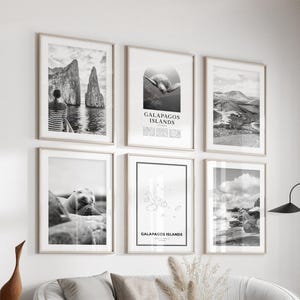 Galapagos Islands Gallery Wall Art - Set of 6, Galapagos Islands Black and White Photo, Galapagos Islands Posters, Galapagos Prints, Ecuador