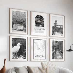Everglades National Park Gallery Wall Art