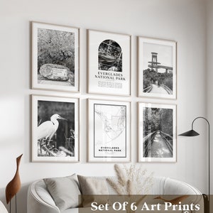 Galleria d'arte murale del parco nazionale Everglades - Set di 6, foto delle Everglades, poster delle Everglades, stampe delle Everglades, parco nazionale, Florida