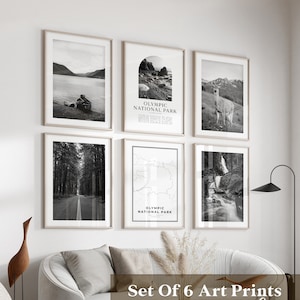 Olympischer National Park Gallery Wandkunst - Set von 6, Olympisches Foto, olympisches Poster, olympische Drucke, National Park, Washington