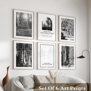 Sequoia National Park Gallery, Kunst, 6er-Set, Sequoia Foto, Sequoia Poster, Sequoia Prints, Nationalpark, Kalifornien