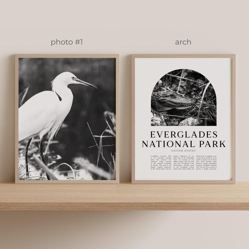 Conjunto de 6 quadros decorativos para parede com fotos do Parque Nacional Everglades, pôsteres e gravuras da região. Parque Nacional, Flórida. imagem 4