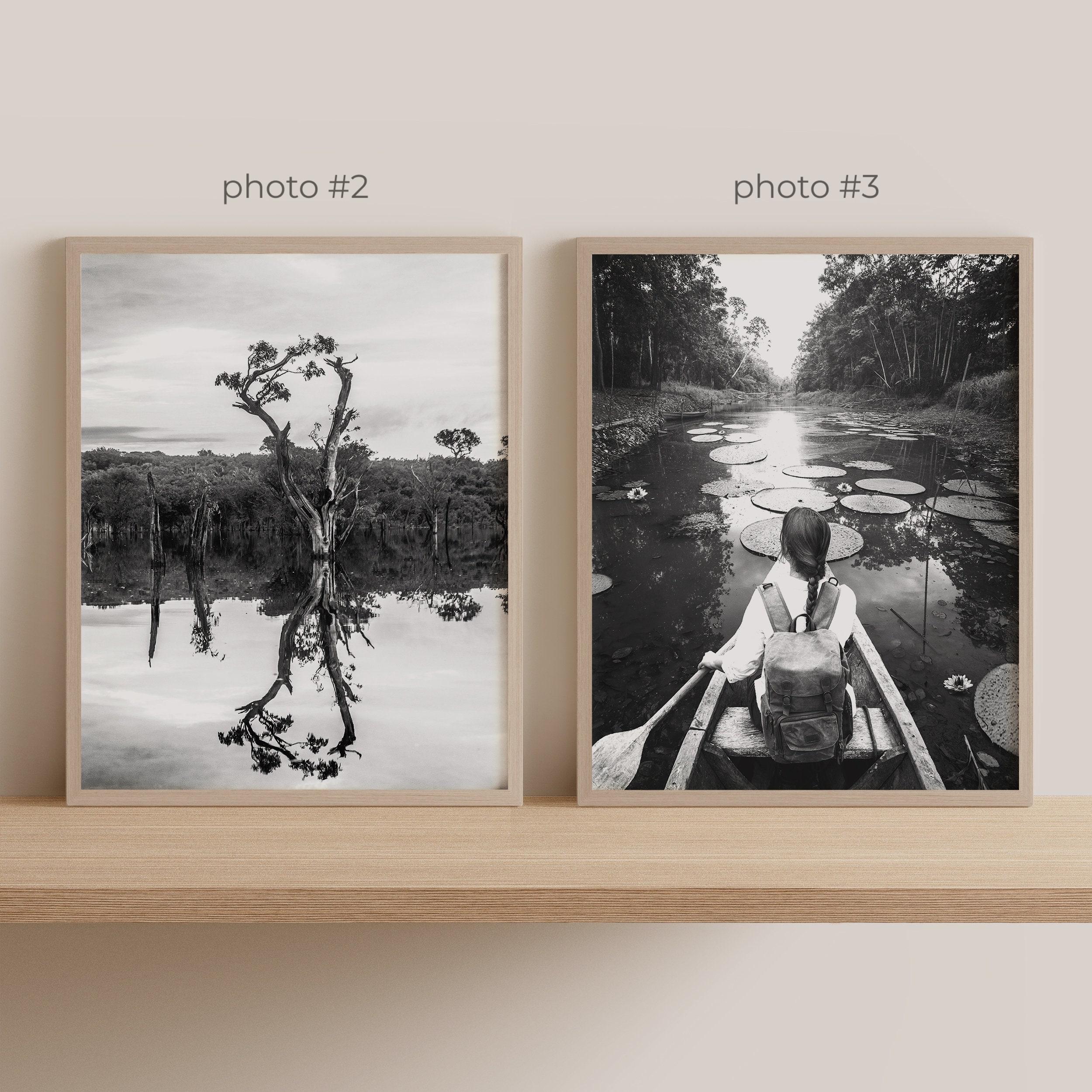 Amazon River Gallery Wall Art - Set of 6, Amazon River Black and White ...
