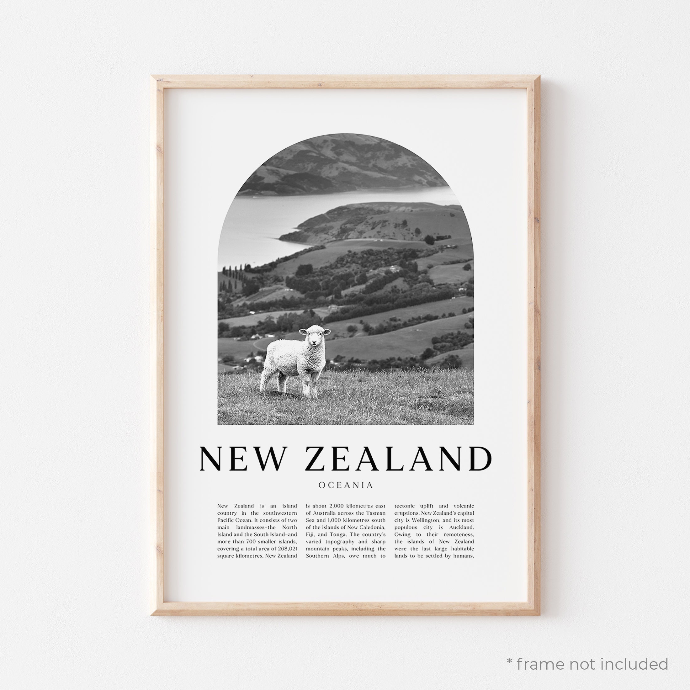 New Zealand Art Print, New Zealand Poster, New Zealand Photo, New Zealand Wall Art, New Zealand Black and White, Oceania | CN18M