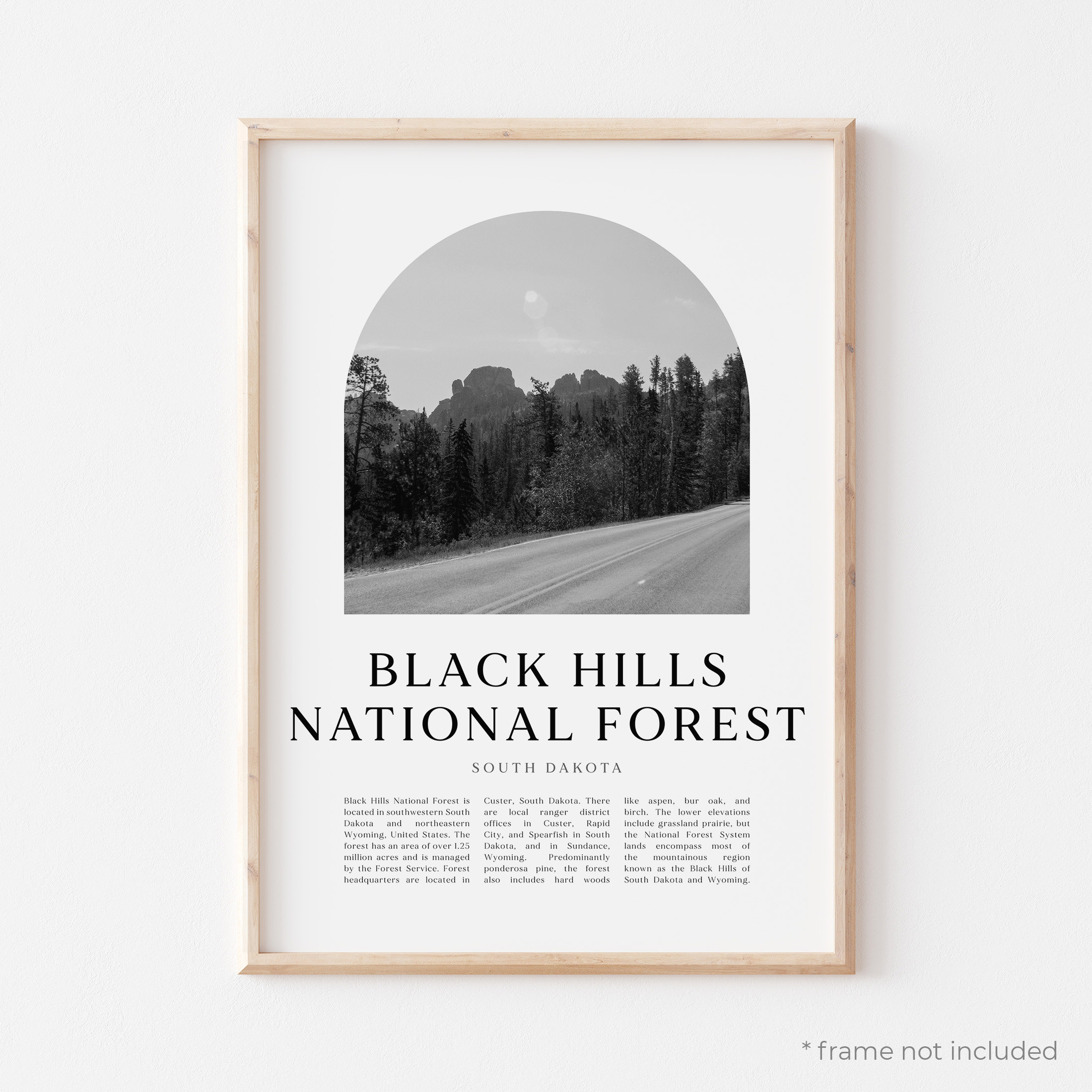 Black Hills National Forest Art Print Black Hills National