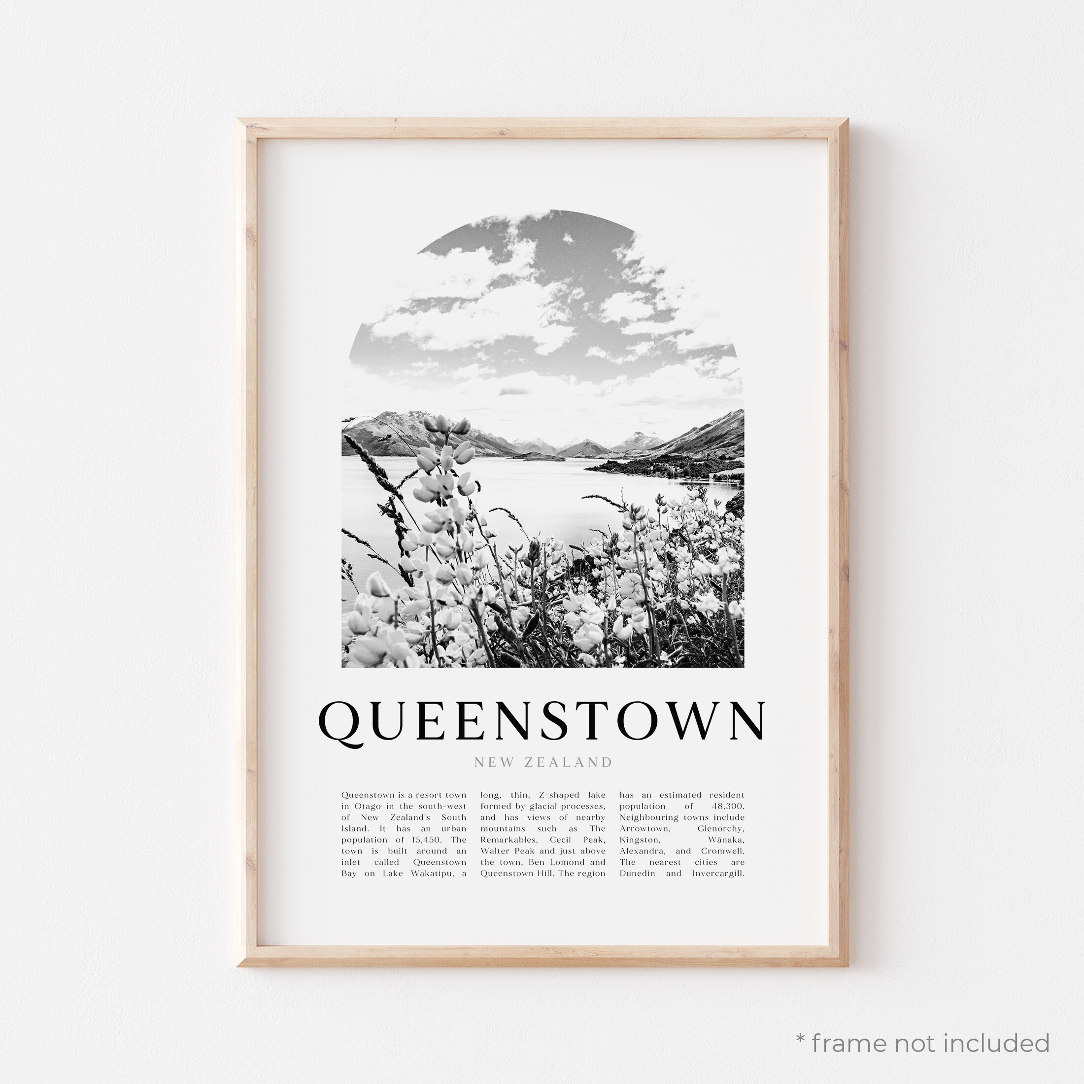 Queenstown Art Print Queenstown Poster Queenstown Photo Etsy