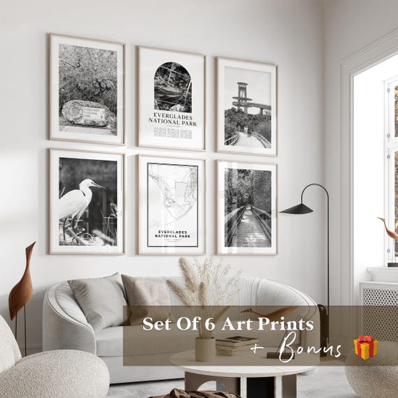 Everglades National Park Gallery Wall Art - Set of 6, Everglades Photo, Everglades Posters, Everglades Prints, National Park, Florida