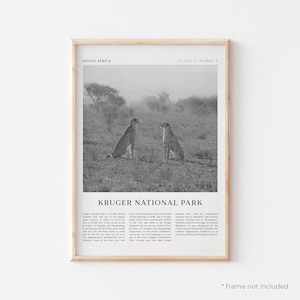 Kruger National Park Art Print, Kruger National Park Poster, Kruger Park Photo, Africa, Travel Print, Vintage Poster, Boho Art | AF134