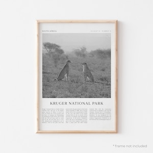 Impresión artística del Parque Nacional Kruger, póster del Parque Nacional Kruger, fotografía del Parque Kruger, África, impresión de viaje, póster vintage, arte bohemio / AF134