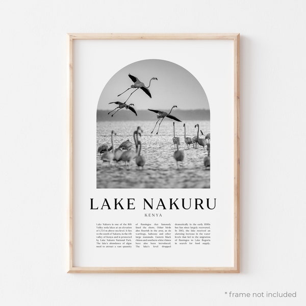 Lake Nakuru Art Print, Lake Nakuru Poster, Lake Nakuru Photo, Lake Nakuru Wall Art, Lake Nakuru Black and White, Kenya | AF55M