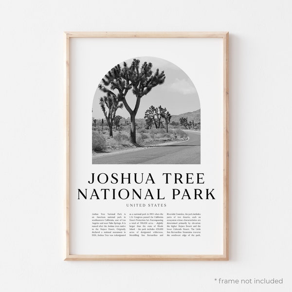 Joshua Tree National Park Art Print, Joshua Tree National Park Poster, Joshua Tree National Park Photo, Wall Art, États-Unis | NA182M