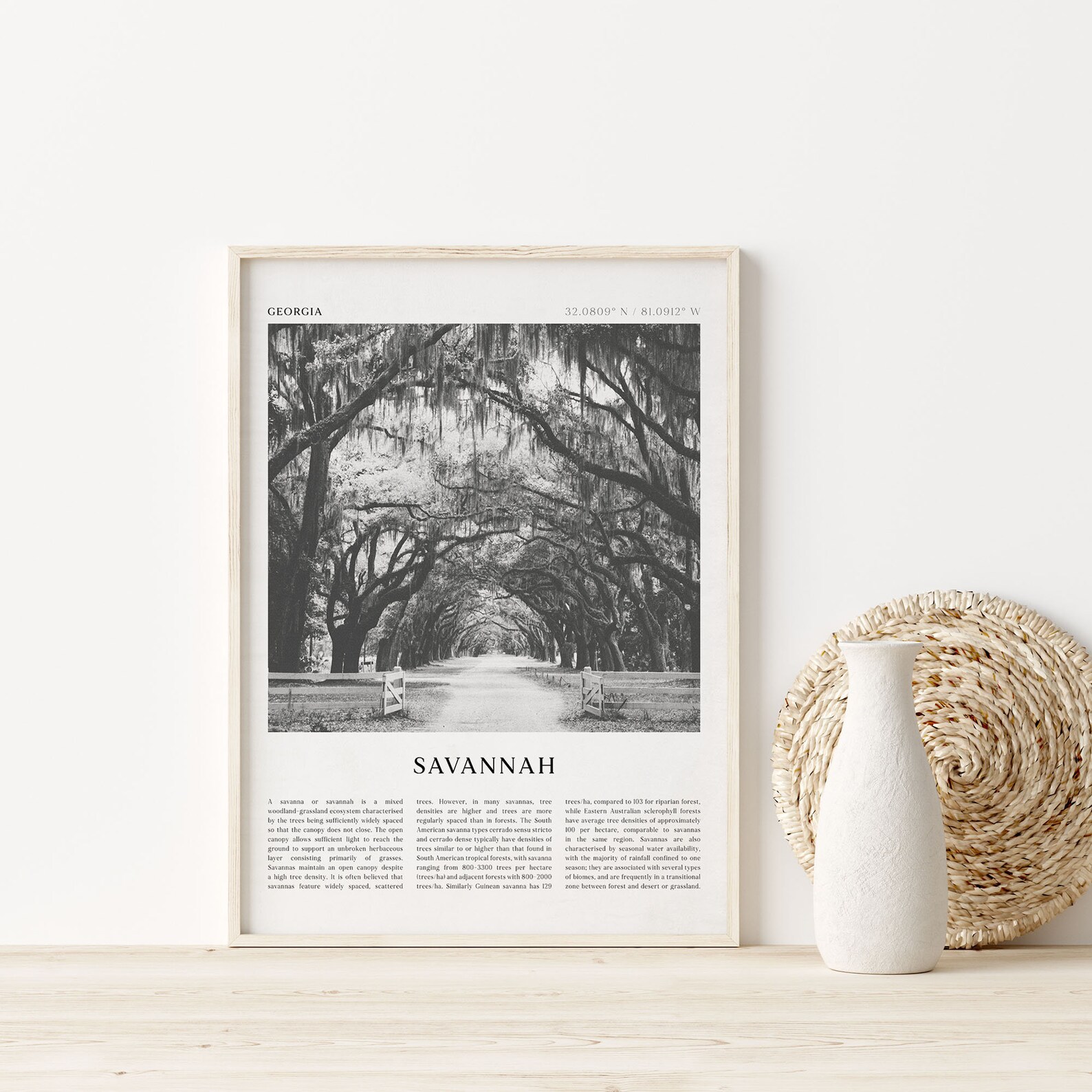 Savannah Art Print Savannahposter Savannah Photo Savannah Etsy