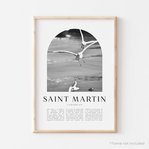 Impresión artística de San Martín, póster de San Martín, fotografía de San Martín, arte mural de San Martín, San Martín en blanco y negro, Caribe / CA52M