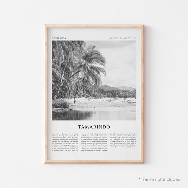 Tamarindo Art Print, Tamarindo Poster, Tamarindo Photo, Tamarindo Wall Art, Costa Rica, Travel Print, Vintage Poster, Boho Art | CE25