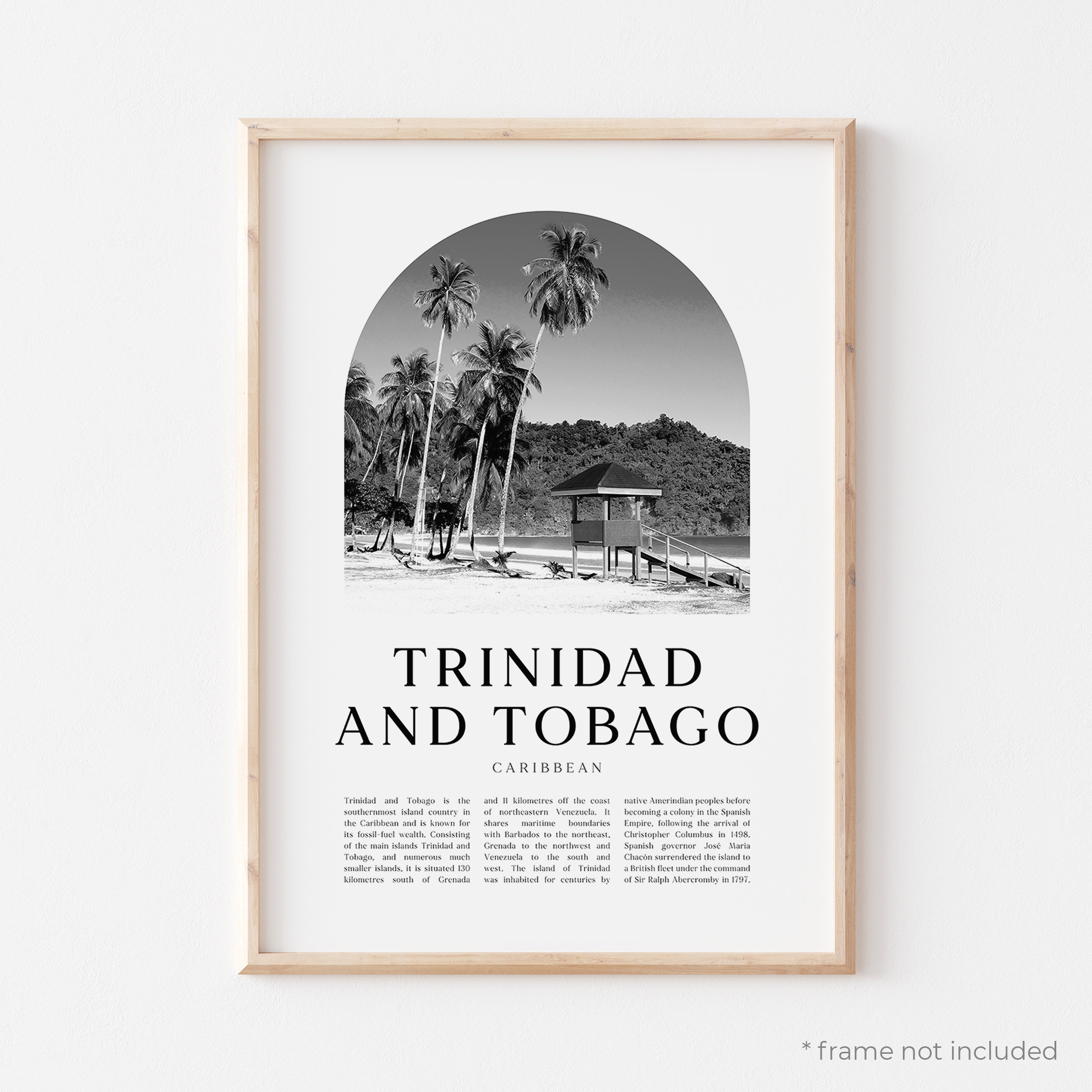 Trinidad and Tobago Art Print Trinidad and Tobago Poster Etsy UK