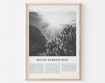 Belize Barrier Reef Art Print, Belize Barrier Reef Poster, Belize Barrier Reef foto, Belize, Travel Print, Vintage Poster, Boho Art | CE24