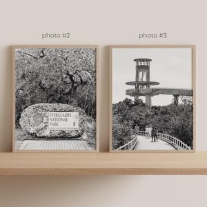 Conjunto de 6 quadros decorativos para parede com fotos do Parque Nacional Everglades, pôsteres e gravuras da região. Parque Nacional, Flórida. imagem 5