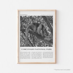 Corcovado National Park Art Print, Corcovado National Park Poster, Photo, Osa Peninsula, Travel Print, Vintage Poster, Boho Art | CE23