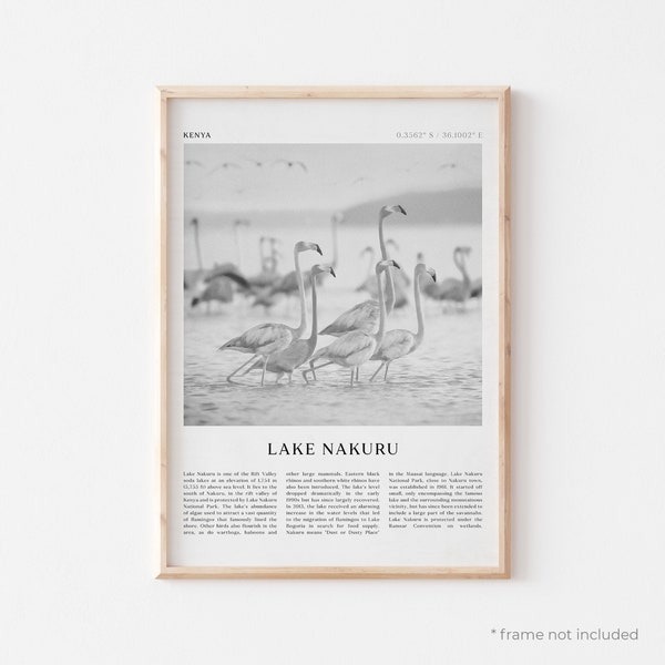 Lake Nakuru Art Print, Lake Nakuru Poster, Lake Nakuru Photo, Lake Nakuru Wall Art, Kenya, Travel Print, Vintage Poster, Boho Art | AF55