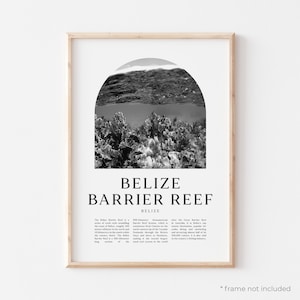 Belize Barrier Reef Art Print, Belize Barrier Reef Poster, Belize Barrier Reef Photo, Belize Barrier Reef Wall Art, Belize | CE24M