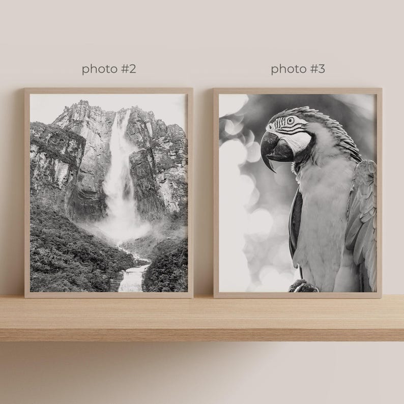 Venezuela Gallery Wall Art - Set of 6, Venezuela Black and White Photo, Venezuela Posters, Venezuela Prints, South America image 5