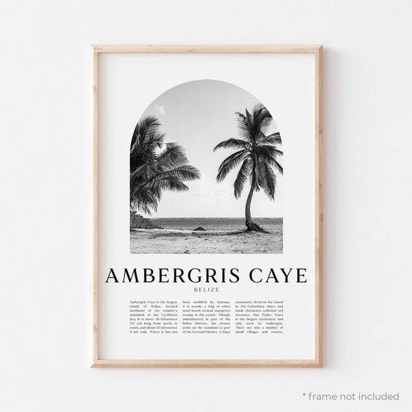 Ambergris Caye Art Print, Ambergris Caye Poster, Ambergris Caye Photo, Ambergris Caye Wall Art, Belize | CE21M