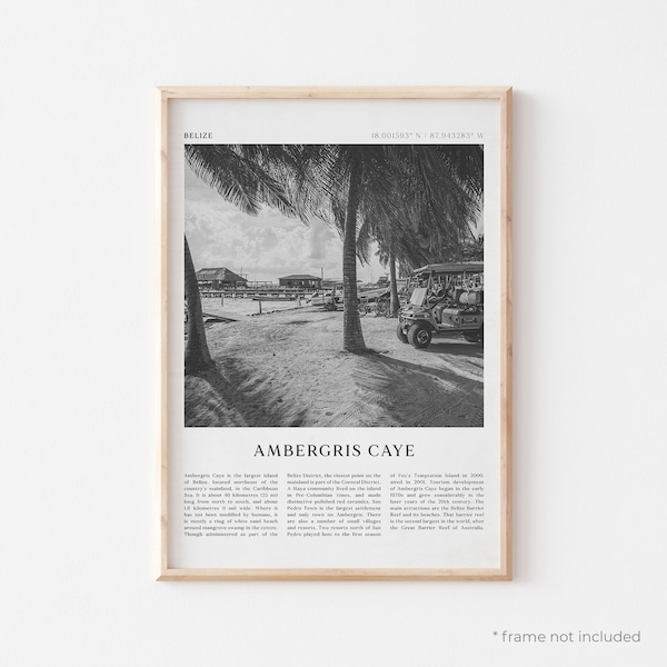 Ambergris Caye Art Print, Ambergris Caye Poster, Ambergris Caye Photo, Belize, Travel Print, Vintage Poster, Boho Art | CE21