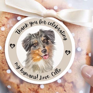 Custom Pet Wedding Favor Stickers, Dog Wedding Favor Labels, Personalized Pet Wedding Sticker with Photo Portrait, Wedding Treats on Me Bag